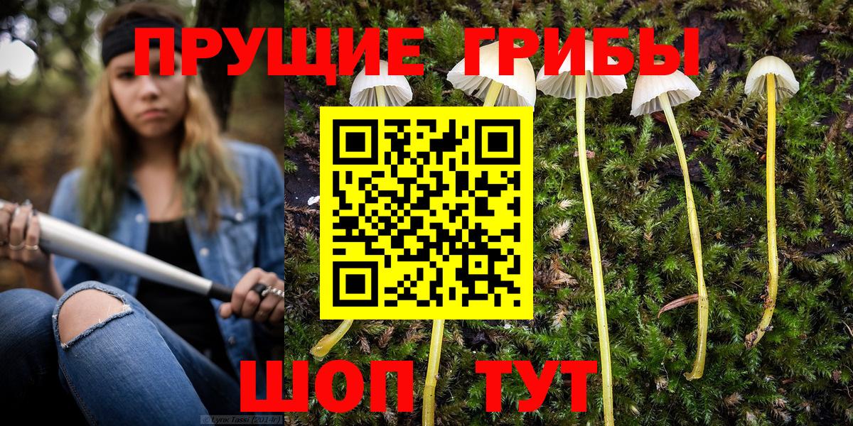 Галлюциногенные грибы прущие грибы  Вход с VPN  Учалы  Галлюциногенные грибы мицелий 
