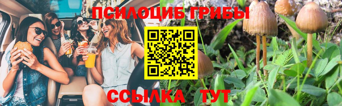 Галлюциногенные грибы прущие грибы Учалы